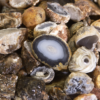 Mini Natural Geodes 5lbs