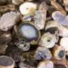 Mini Natural Geodes 5lbs